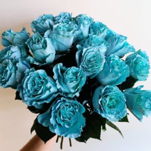 Bukiet róża błękitna